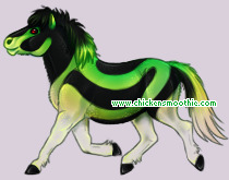 Pet
