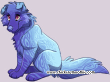 Pet