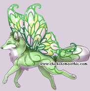 Pet