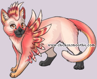 Pet