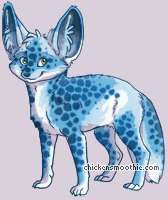 Pet