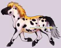 Pet