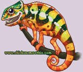 Pet