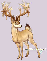 Pet