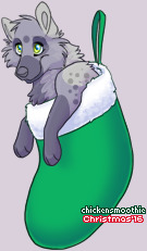 Pet
