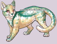 Pet