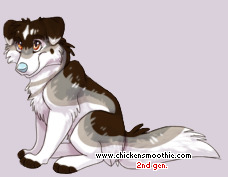 Pet
