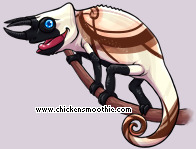 Pet
