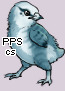 Pet