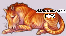 Pet