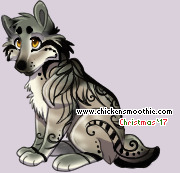 Pet