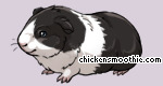 Pet