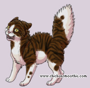 Pet