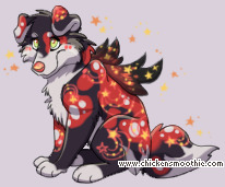 Pet