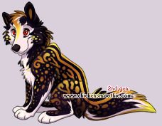 Pet