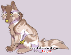 Pet