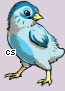 Pet