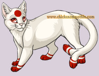 Pet