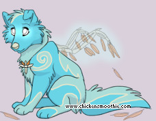 Pet