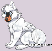 Pet