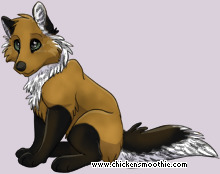 Pet