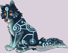 Pet