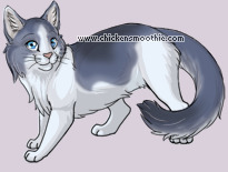 Pet