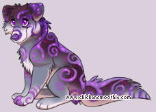 Pet
