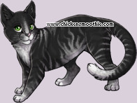 Pet