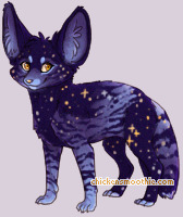 Pet