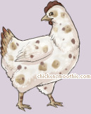 Pet