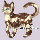 Pet