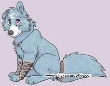 Pet