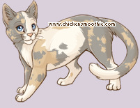 Pet