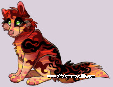 Pet