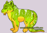 Pet