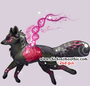 Pet
