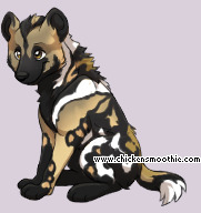 Pet