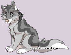 Pet