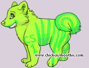 Pet