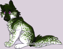 Pet