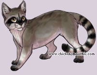 Pet
