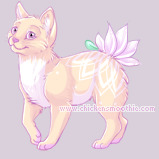 Pet