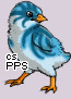 Pet