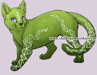 Pet