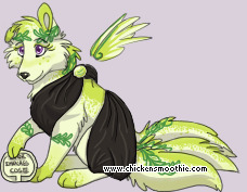 Pet