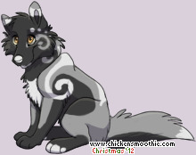 Pet