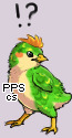 Pet