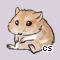 Pet