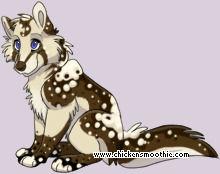 Pet